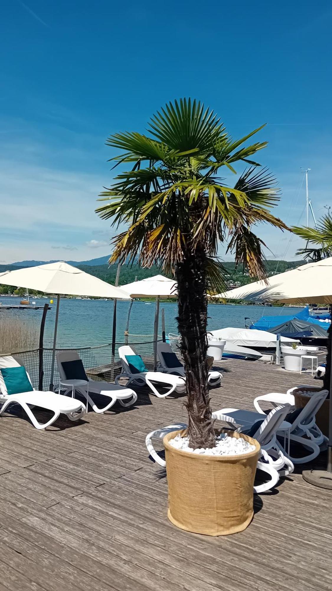Tennis & Yacht Hotel Velden Velden am Wörthersee Dış mekan fotoğraf